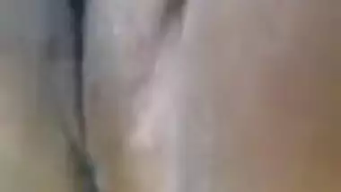ex brown chick