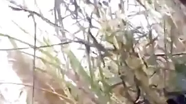भोजपुरी भाभी कि चुदाई खेत में