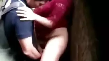 पार्क में पेड़ की आड़ में खड़े-खड़े चुदाई करते लवर्स को स्पाई कैमरे में पकड़ा